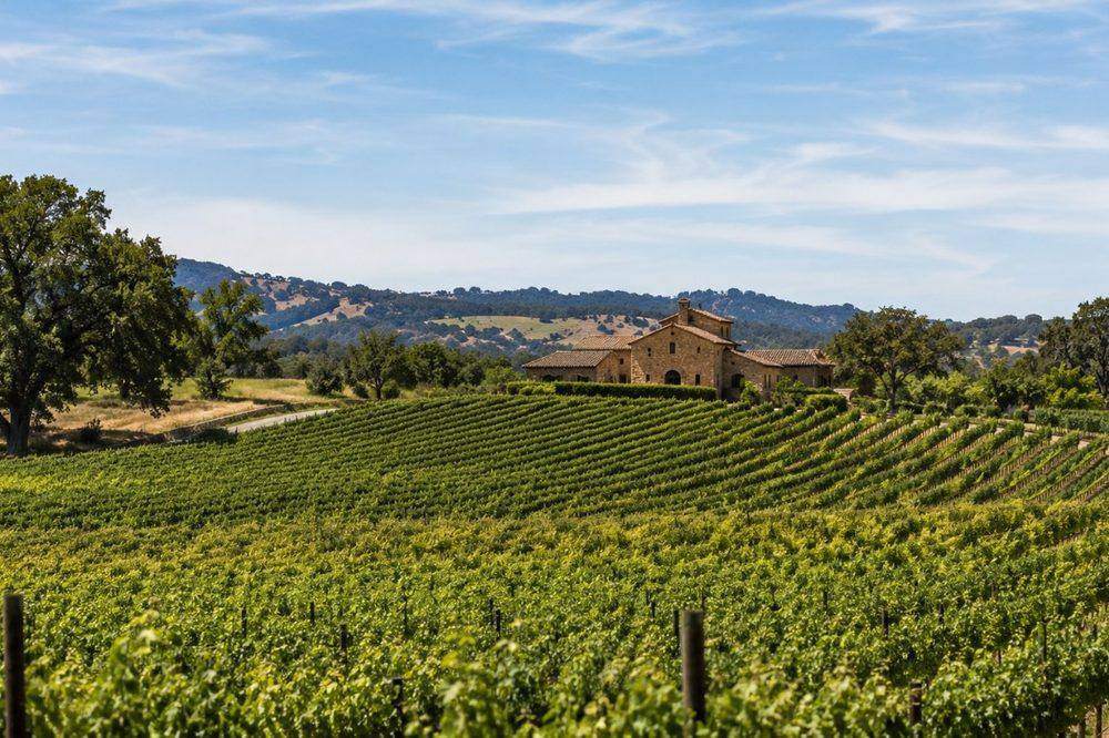 Sonoma wine tours