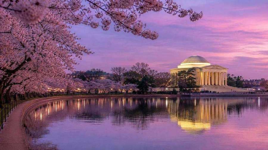 DCA, IAD or BWI? The D.C. Decision