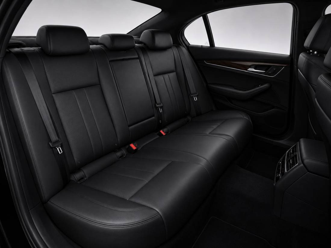 Koast Business Sedan — Rear seat