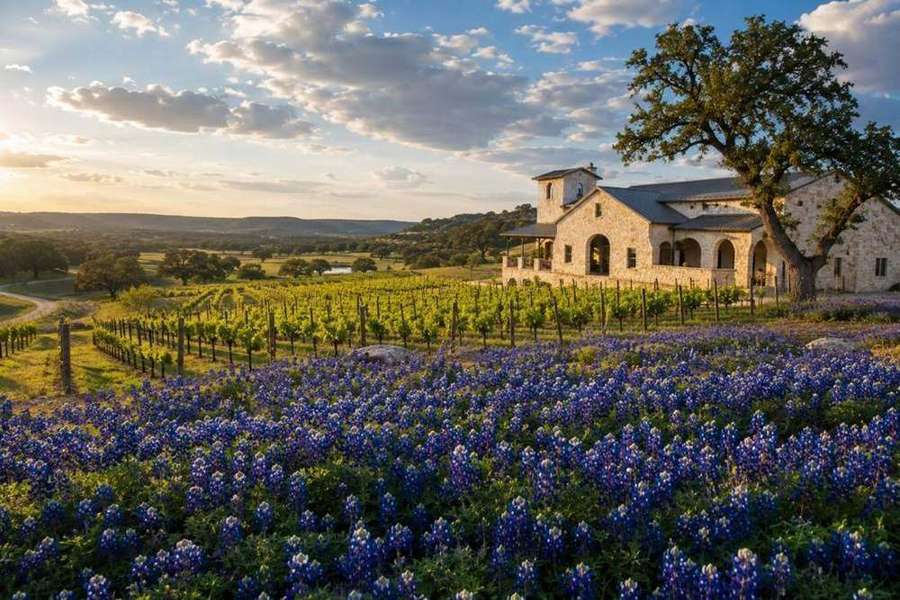 Texas Hill Country wine tours